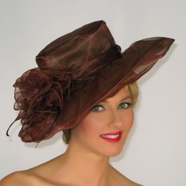 52912 Brown Light Organza Hat with Flower